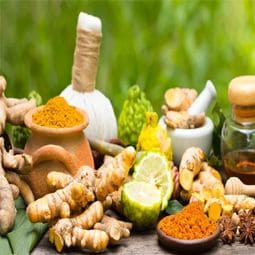 Ayurveda Herbal